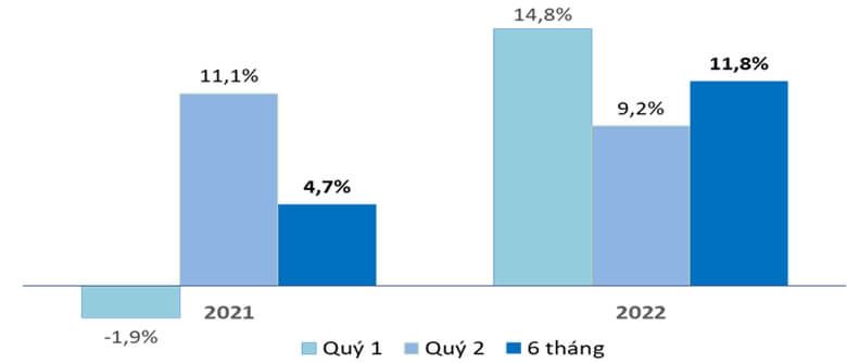 Tăng trưởng Quý 1, Quý 2 và 6 tháng đầu năm 2021 và 2022 